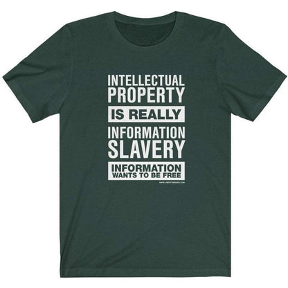 Intellectual Property Is Information Slavery Ladies T-Shirt